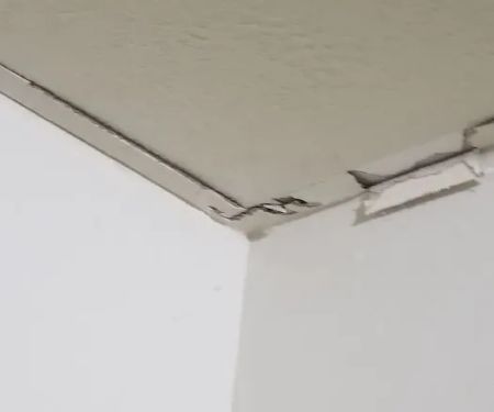 Apking Termite and Pest Control