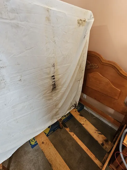 Apking Termite and Pest Control Picture 8