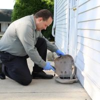 Arrow Services, Inc. (Pest Control) ico