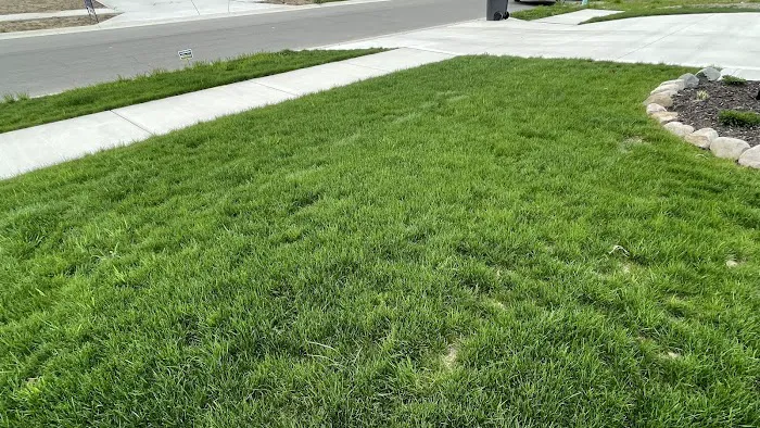 SuperGreen Picture 4