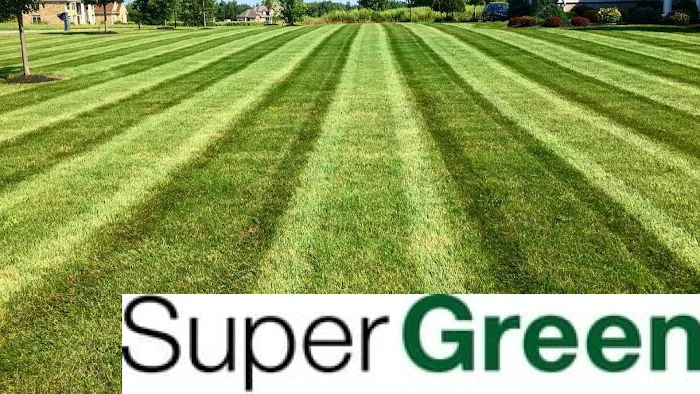 SuperGreen Picture 3