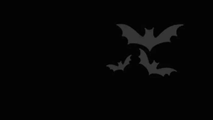 Bats B Gone Picture 8