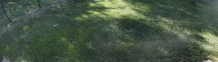 Kapp's Green Lawn Picture 3
