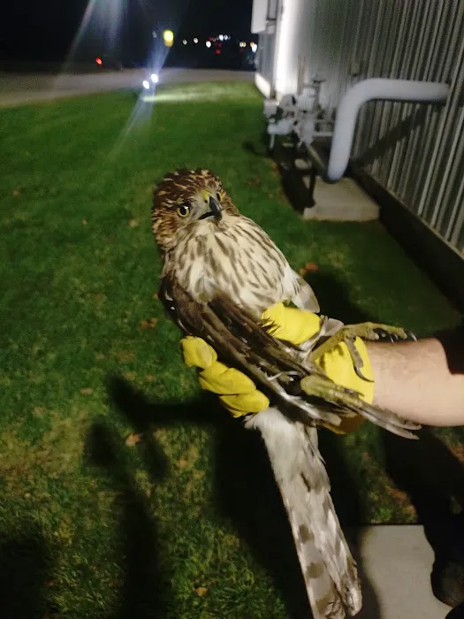 All Out Bird Control, LLC Picture 9