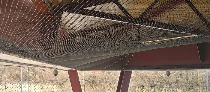 All Out Bird Control, LLC Picture 1