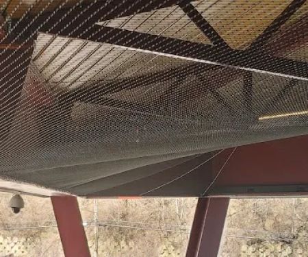 All Out Bird Control, LLC