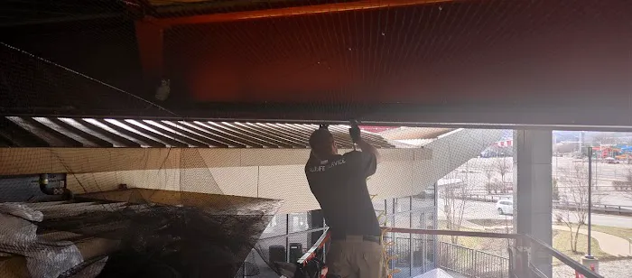 All Out Bird Control, LLC Picture 5