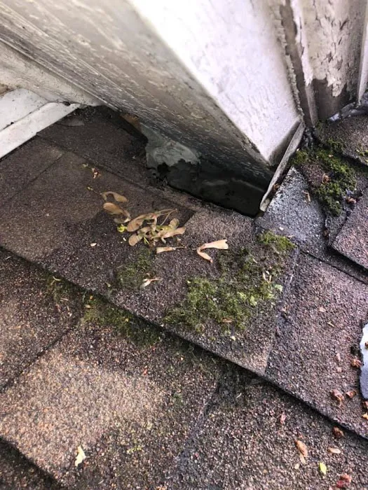 Evictus Wildlife Solutions Picture 1
