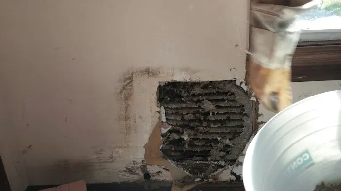 Arab Termite & Pest Control Picture 1