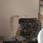 Arab Termite & Pest Control