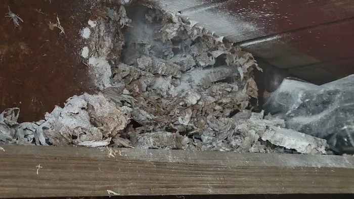 C and J Pest Management Services Picture 2