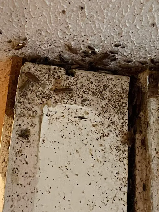 C and J Pest Management Services Picture 8