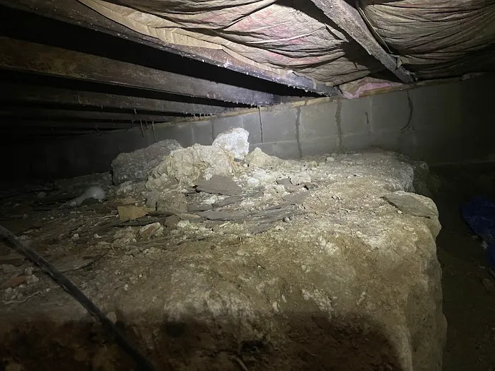 Your Total W.D.I. Inspection Picture 4