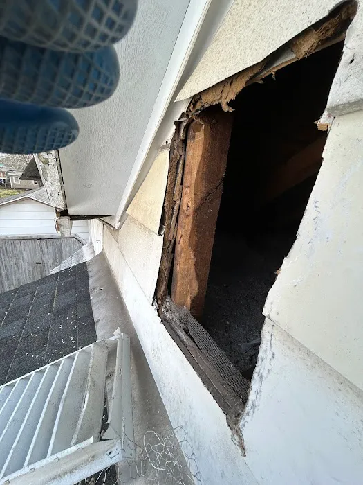 Your Total W.D.I. Inspection Picture 6