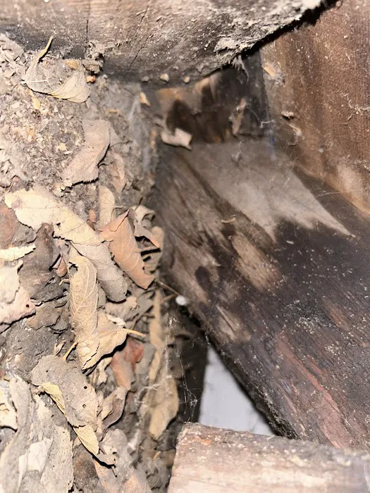 Your Total W.D.I. Inspection Picture 10