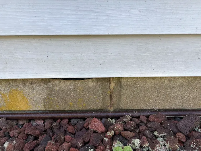 Your Total W.D.I. Inspection Picture 9