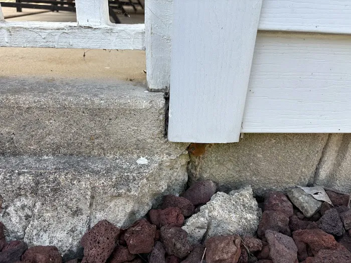 Your Total W.D.I. Inspection Picture 5