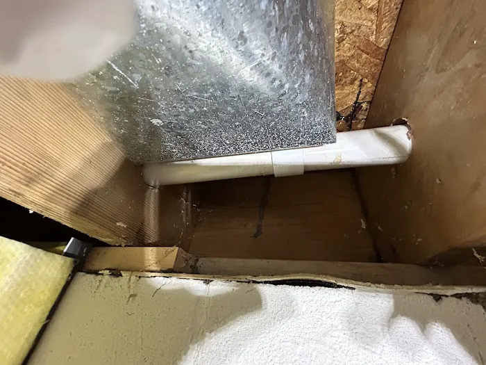 Your Total W.D.I. Inspection Picture 7