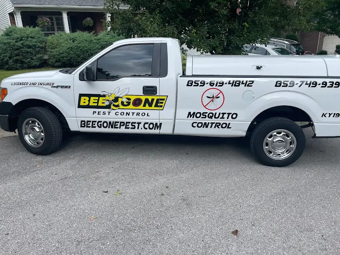 Bee Gone Pest Control Picture 1