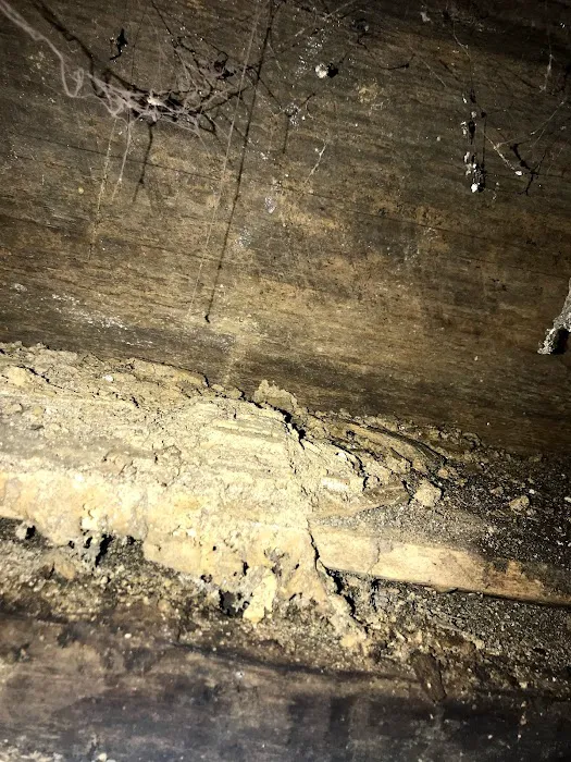 Bee Gone Pest Control Picture 5