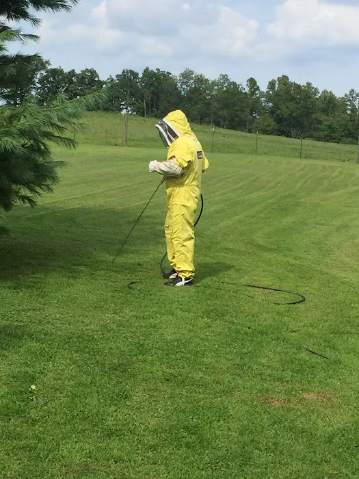 Bee Gone Pest Control Picture 10