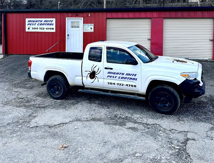 Mighty Mite Pest Control Picture 4