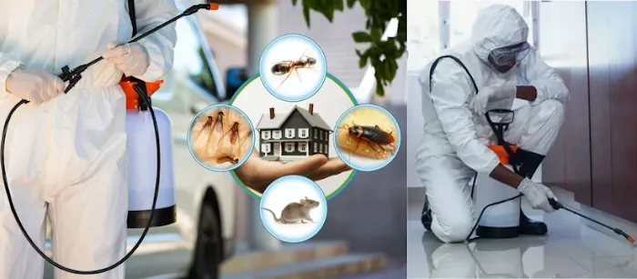 Spotlight Pest Control Picture 1