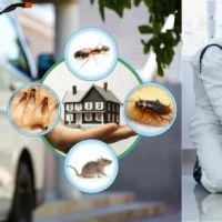 Spotlight Pest Control ico