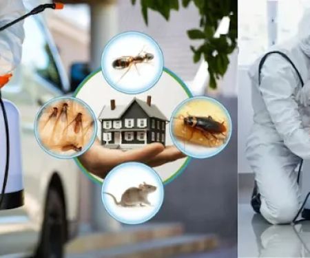 Spotlight Pest Control