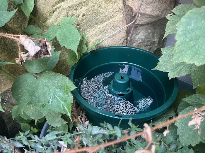 Spotlight Pest Control Picture 7
