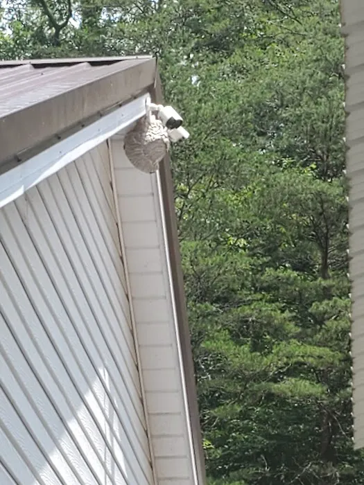 Alford Pest Control Picture 1