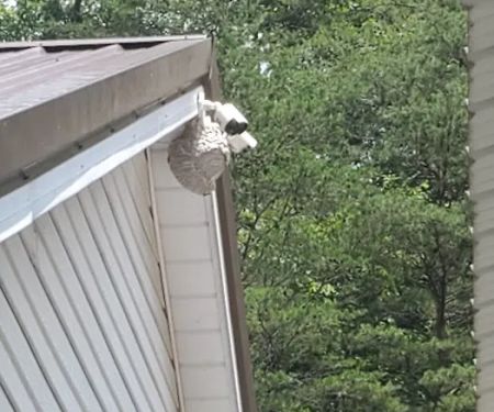 Alford Pest Control