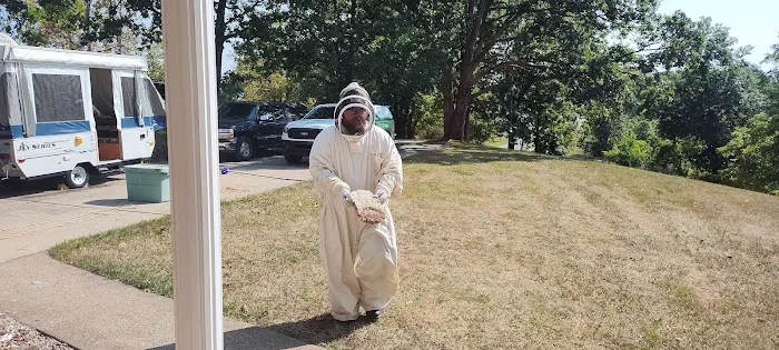 Alford Pest Control Picture 4
