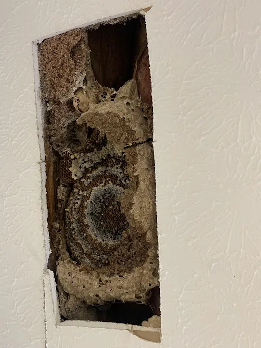 Alford Pest Control Picture 7
