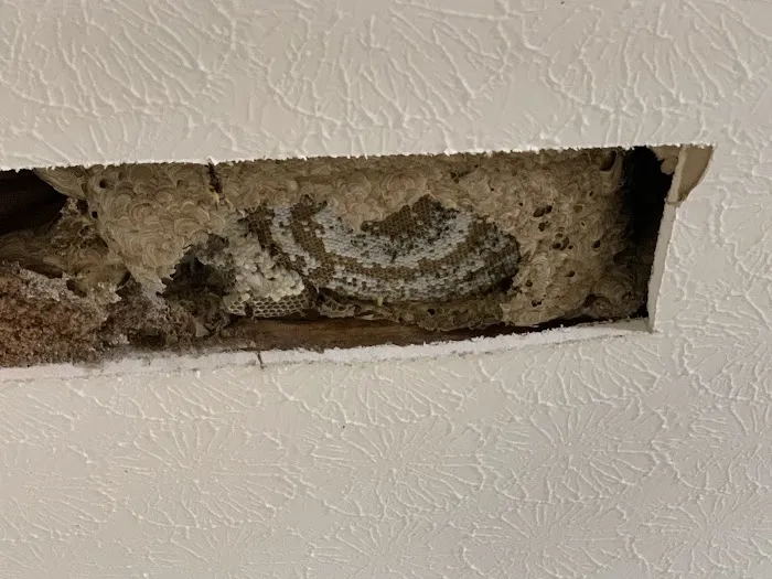 Alford Pest Control Picture 9