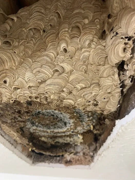 Alford Pest Control Picture 5