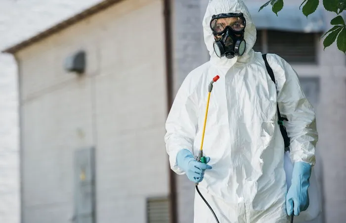 Blennerhassett Pest Control Picture 9
