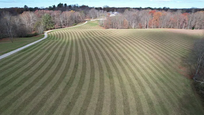 Blades of Glory Lawn Care Picture 3