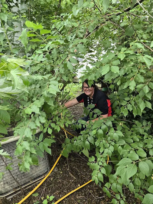 Stryker Pest Control LLC Picture 2
