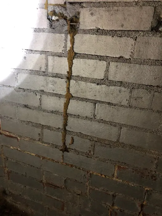 K & B Pest Control Picture 4