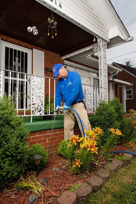 K & B Pest Control Picture 2