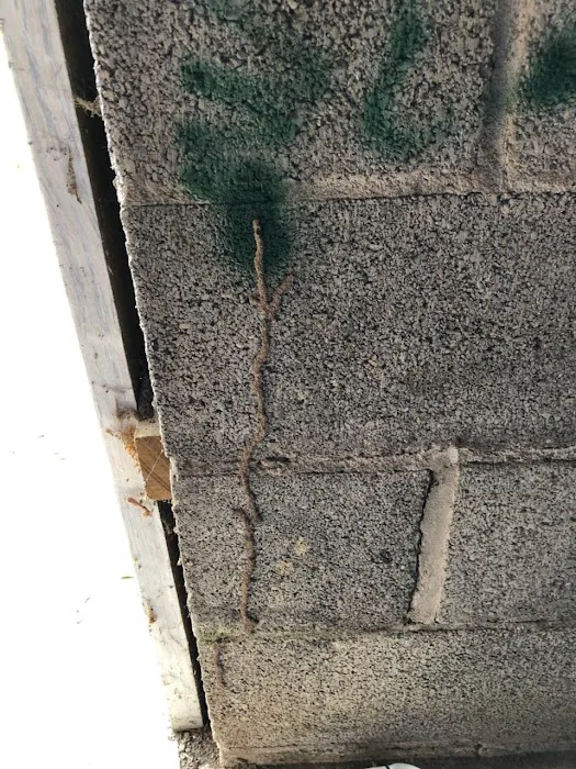 K & B Pest Control Picture 8