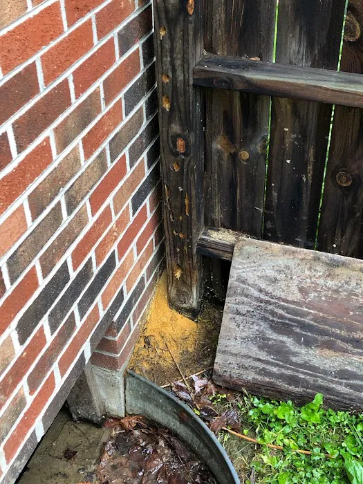 K & B Pest Control Picture 1