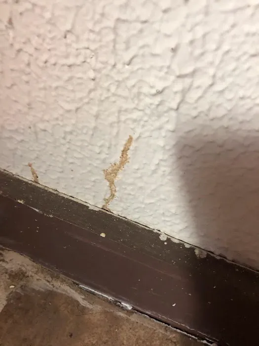 K & B Pest Control Picture 5
