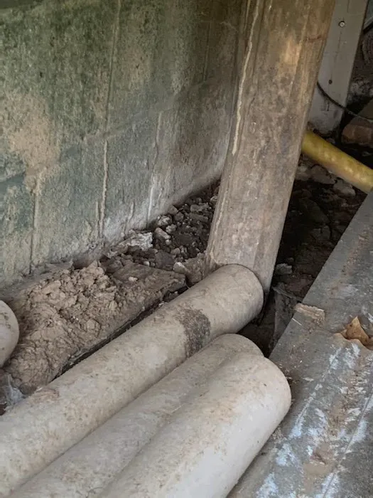 K & B Pest Control Picture 7