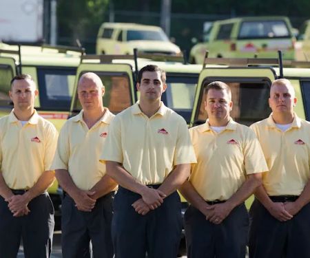Dodson Pest Control