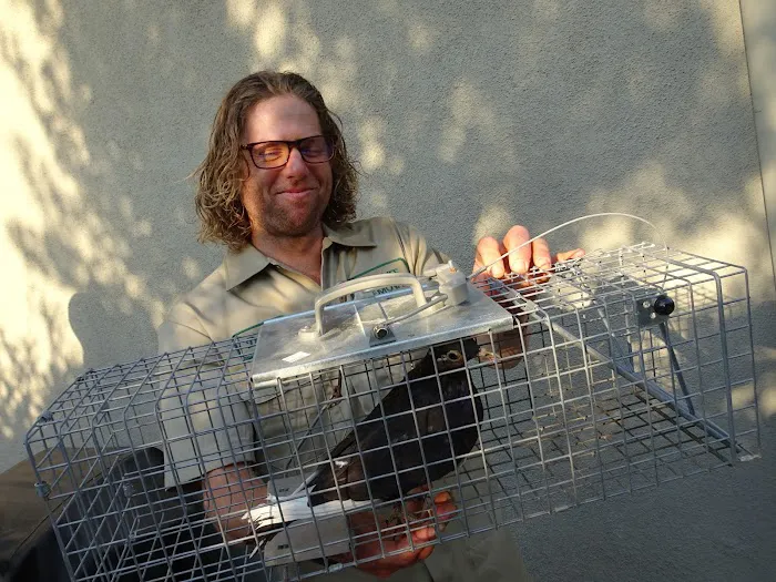 Wildlife Removal Experts Picture 5