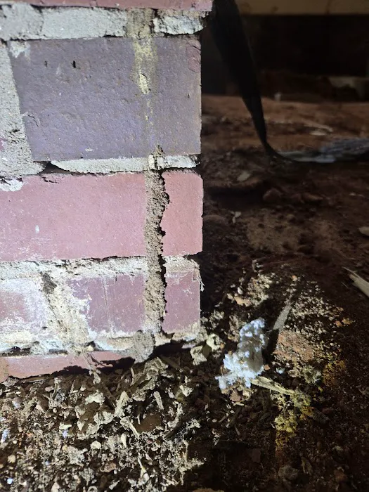 ServGuard Pest Solutions Picture 8