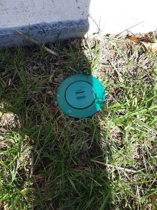 A-1 Pest Control Picture 3