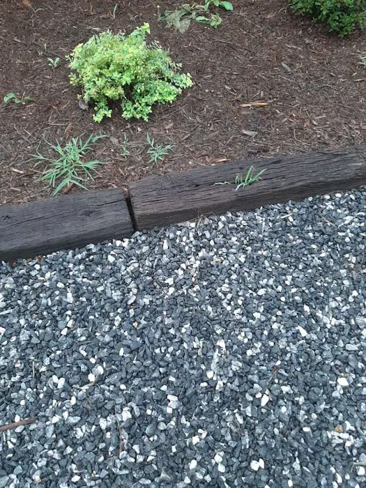 A-1 Pest Control Picture 7